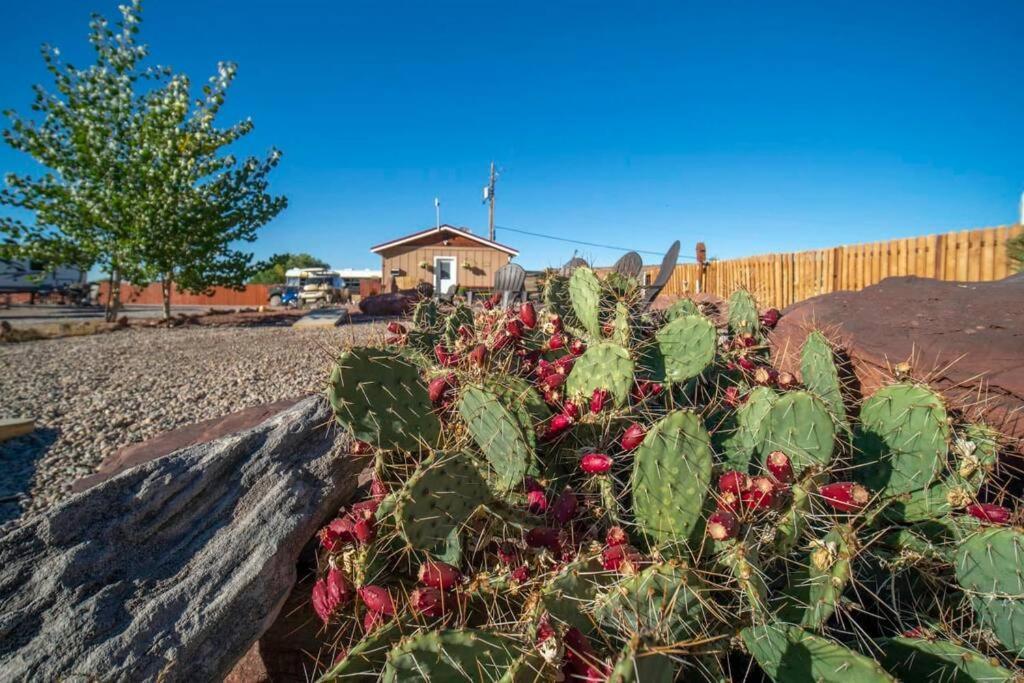 Redrock Moab Tiny House W Large Loft Site 8别墅 外观 照片